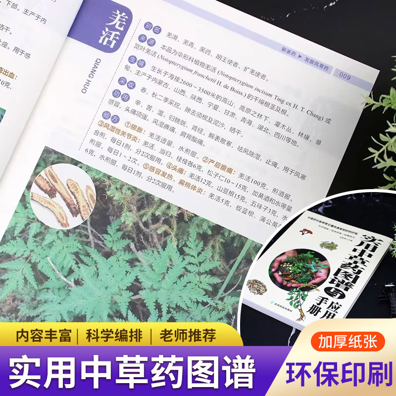 Wellness Herbal Medicine - Atlas & Manual Herbal Praktis: Koleksi