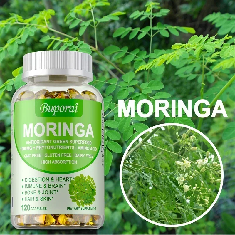Moringa Leaf Powder - Kapsul Moringa - Mendukung Sistem Kekebalan