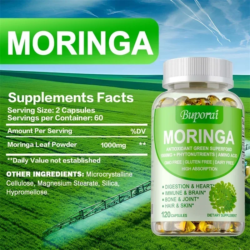 Kapsul Moringa - Meningkatkan  - Moringa Leaf Powder ulasan dan harga