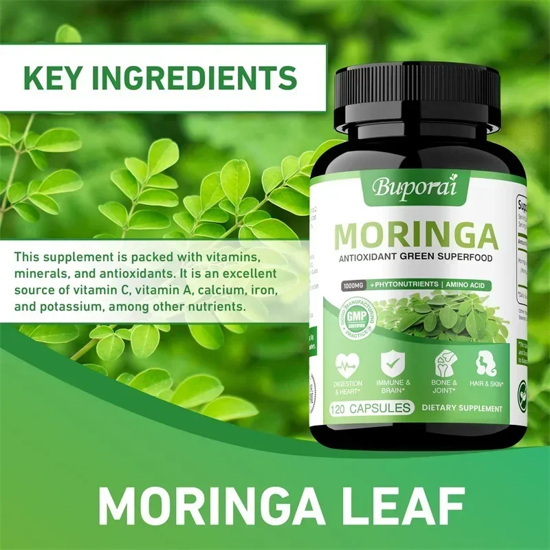 Kapsul Moringa - Antioksidan,  - Moringa Leaf Powder ulasan dan harga
