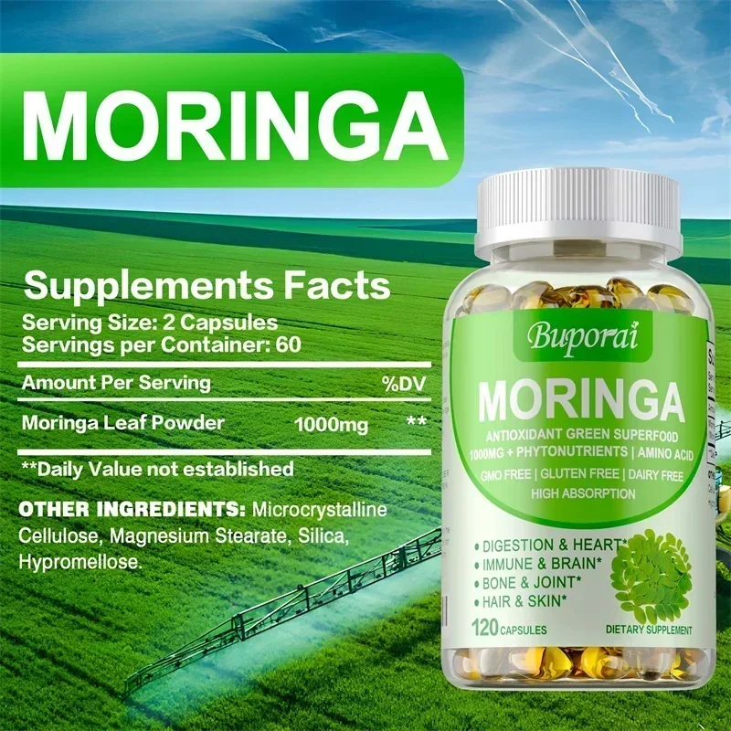 Kapsul Moringa - Mendukung Sis - Moringa Leaf Powder ulasan dan harga