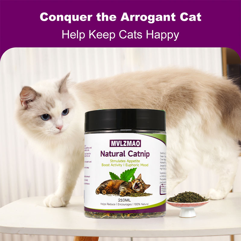 Mainan kucing-silvervine Catni - Nettle Leaf Tea ulasan dan harga
