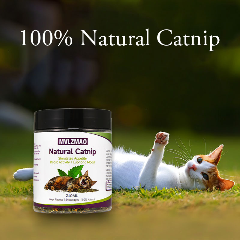 Mainan kucing-silvervine Catni - Nettle Leaf Tea ulasan dan harga