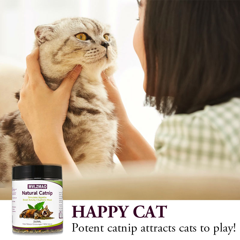Mainan kucing-silvervine Catni - Nettle Leaf Tea ulasan dan harga